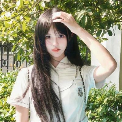 动画新番